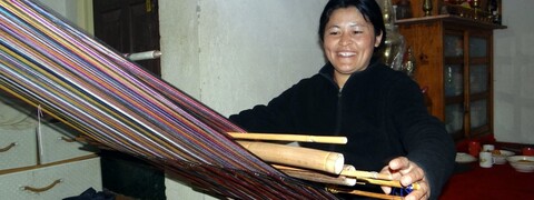 Case Studies from Bhutan